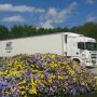 WR Transport BV