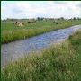 Kaas en IJsboerderij Cornelis Hoeve