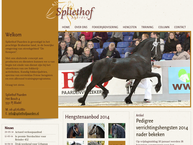 Spliethof Trainingsstal