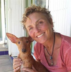 Dog & Cat Care Hondentrimsalon