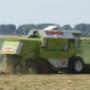Buijze Loon-, Grondverzet-, Fourage en Transportbedrijf