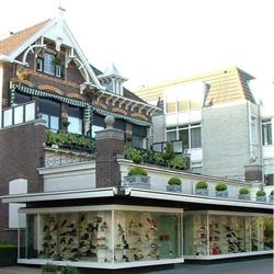 Delsink Modeschoenen