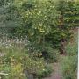 Tuinonderhoud