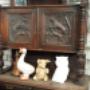 Opbouw Handelsonderneming De