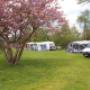 Kaasboerderij/Camping Johanna Hoeve