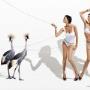 Chaussette Lingerie