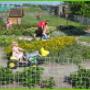 IJsboerderij Heidehoeve fam Pijs