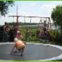 IJsboerderij Heidehoeve fam Pijs