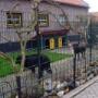 Boas Dierenpension