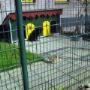 Boas Dierenpension