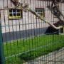 Boas Dierenpension