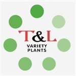 T & L Variety Plants