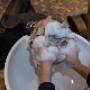 Blauw Kapsalon Ineke
