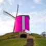 Atelier Thea van Wissen
