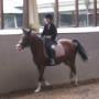 2013_08_30_ponykamp_wedstrijd_