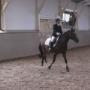 2013_08_30_ponykamp_wedstrijd_