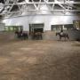 2013_08_30_ponykamp_wedstrijd_