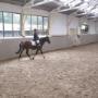 2013_08_30_ponykamp_wedstrijd_