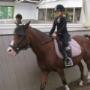 2013_08_30_ponykamp_wedstrijd_