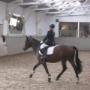 2013_08_30_ponykamp_wedstrijd_