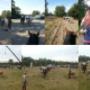 Zeisterbos Manege