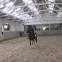 2013_08_30_ponykamp_wedstrijd_