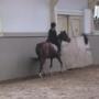 2013_08_30_ponykamp_wedstrijd_