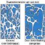 Fysiotherapie Dodonaeuslaan