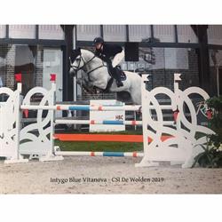 Vitanova Paardensportcentrum