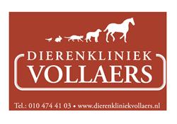 Vollaers Dierenkliniek
