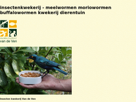 Ven Insectenkwekerij Vof Van de