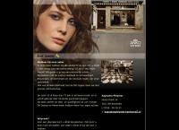 Kapsalon Pleyster