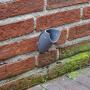 Renovatiekokers boren