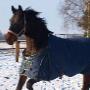 Happy Stay Dierenpension