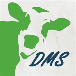 Dirksen Management Support