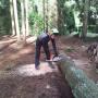 bomen rooien