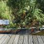 onze "snoeiboot"