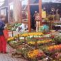 Beek Tuincentrum en Hoveniersbedrijf