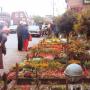 Beek Tuincentrum en Hoveniersbedrijf