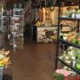 Beek Tuincentrum en Hoveniersbedrijf