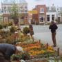 Beek Tuincentrum en Hoveniersbedrijf