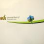 Beek Tuincentrum en Hoveniersbedrijf