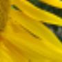 Its- Bee