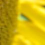 Its- Bee