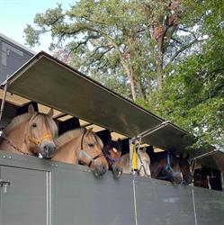 Stichting Manege "Het Roessingh"