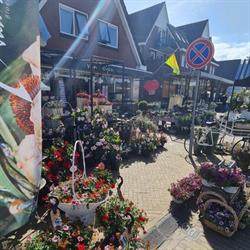 Van Seijen bloemen
