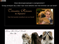 Discus Dineke Te Raalte
