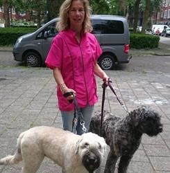 Happy Dog Trimshop