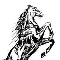 Manege de Hjouwer