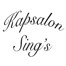 Kapsalon Xing